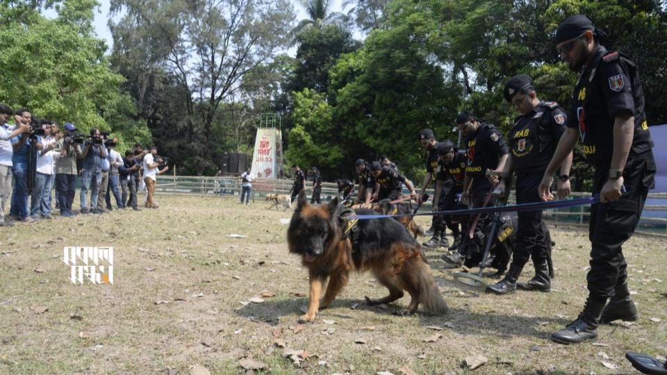 বর্ষবরণের আগের দিন রমনা বটমূলে ডগ স্কোয়াড দিয়ে তল্লাশি চলে। ছবি : হারুনুর রশীদ 