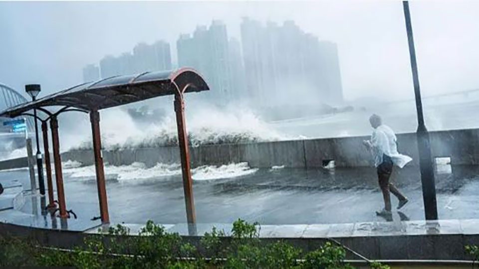 টাইফুন রাগাসাকে এ বছরের সবচেয়ে শক্তিশালী ঝড় হিসেবে বিবেচনা করা হচ্ছে।