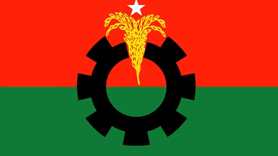 বিএনপির দলীয় পতাকা
